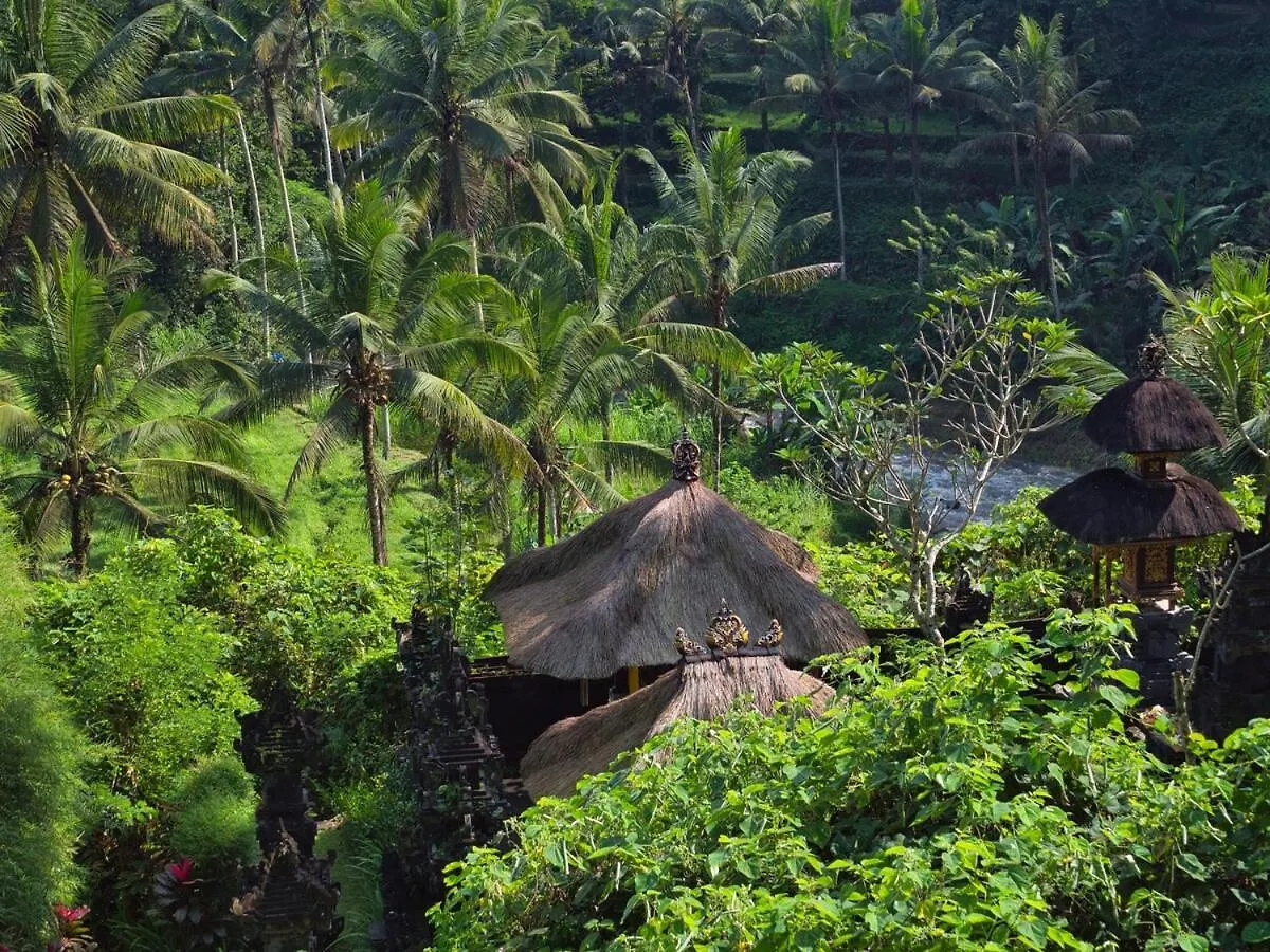 River Song Bali Sayan Ubud 9 Br Indonesien